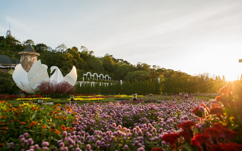 ĐÀ NẴNG - HỘI AN - BÀ NÀ - CÙ LAO CHÀM