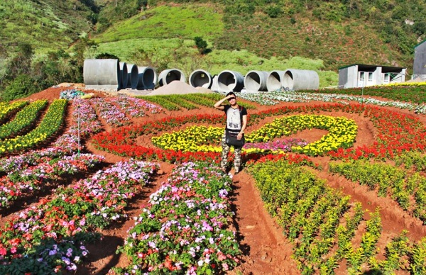 MỘC CHÂU HAPPY LAND