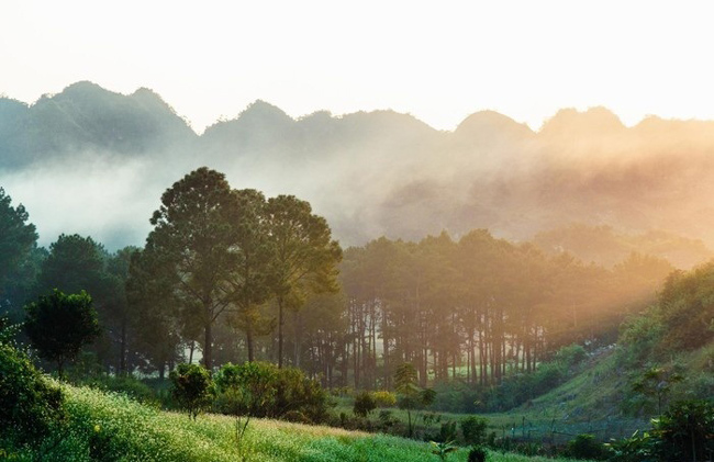 MỘC CHÂU HAPPY LAND