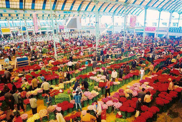 CÔN MINH – ĐẠI LÝ- LỆ GIANG