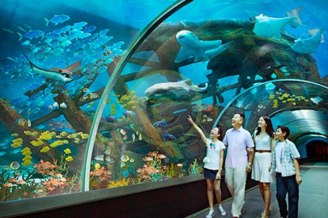 SINGAPORE- ĐẢO SENTOSA – KHU UNIVERSAL STUDIOS