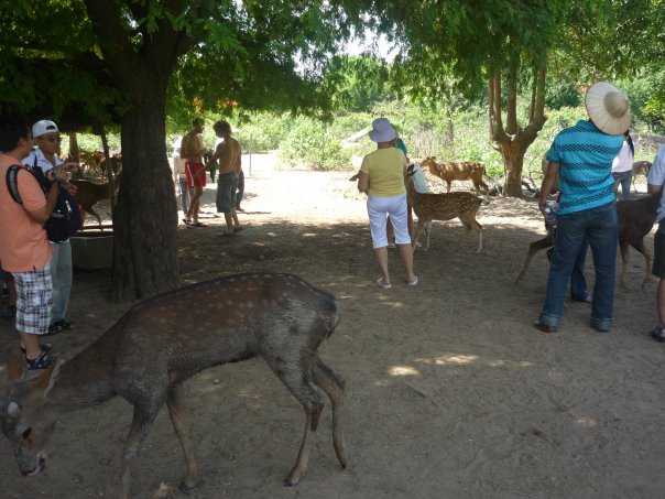 Chiêm ngưỡng vẻ đẹp của vịnh Nha Phu