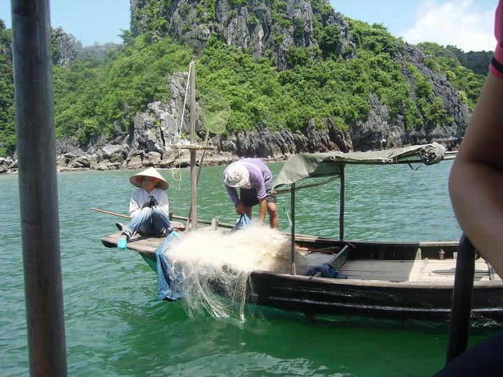Du Ngoạn Hạ Long