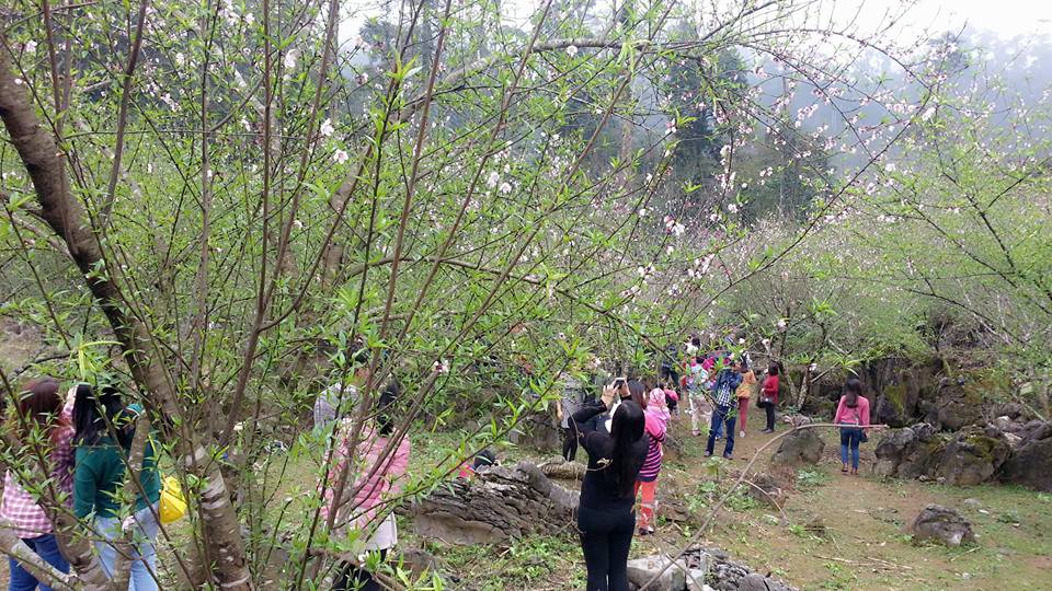 MAI CHÂU - MỘC CHÂU