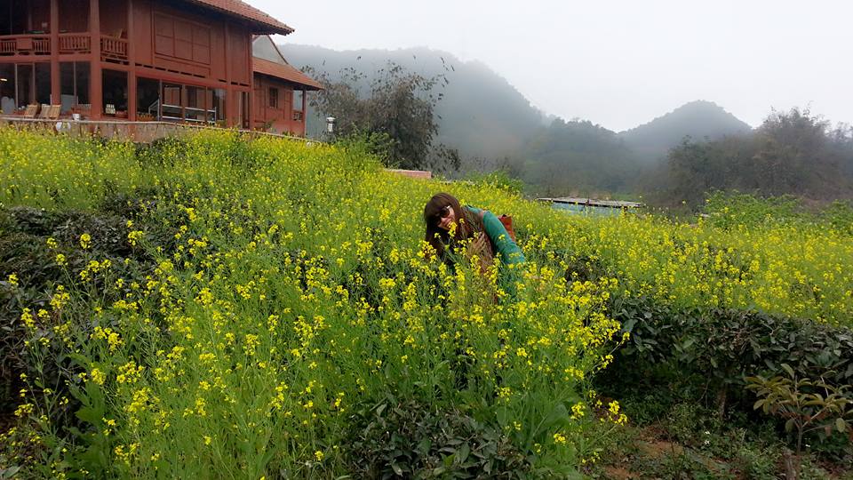 MAI CHÂU - MỘC CHÂU