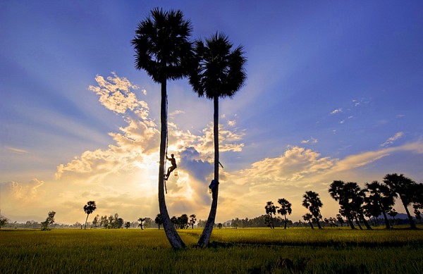 Cà Mau–Bạc Liêu–Sóc Trăng–Cần Thơ