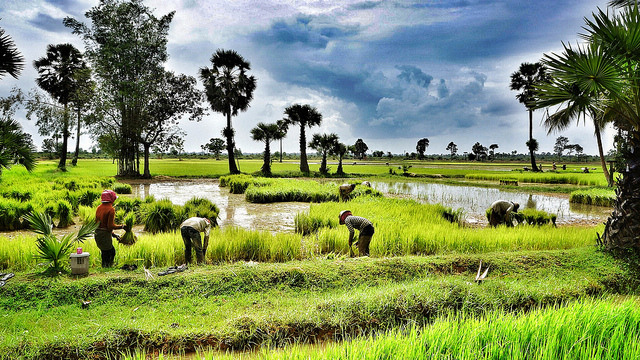 SIEM REAP – ANGKOR CYCLING TOURS 5 DAYS 4 NIGHTS