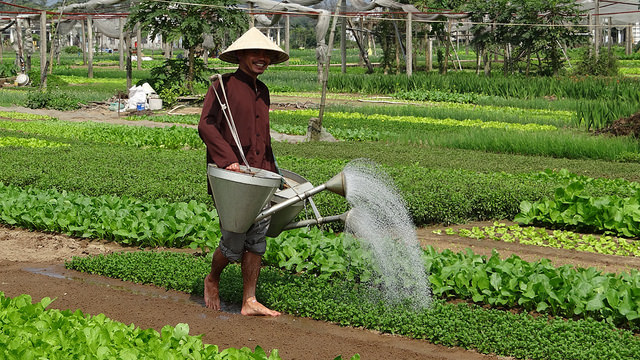 Hoian Discovery 5 days