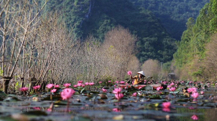 Perfume Pagoda Tour