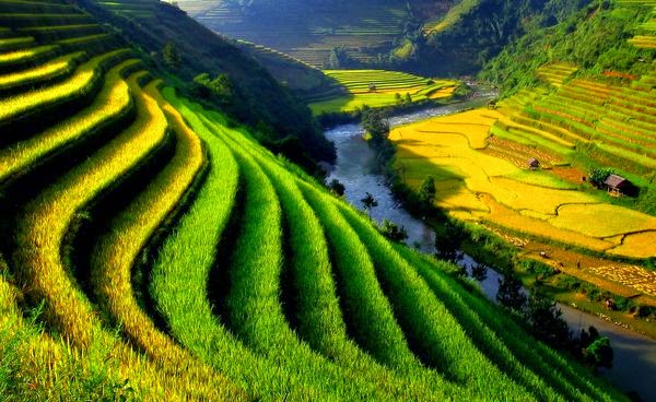 Sapa In Depth 6 Days 7 Nights