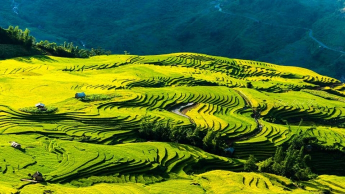 Sapa In Depth 6 Days 7 Nights