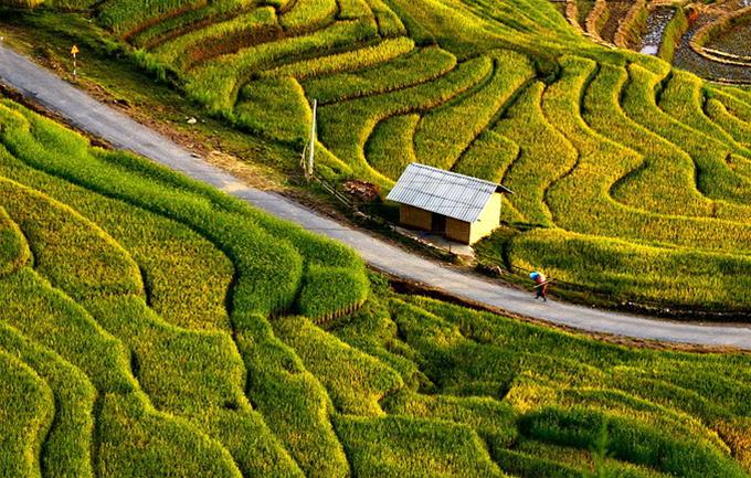 Sapa Easy Trekking 2 days 3 nights