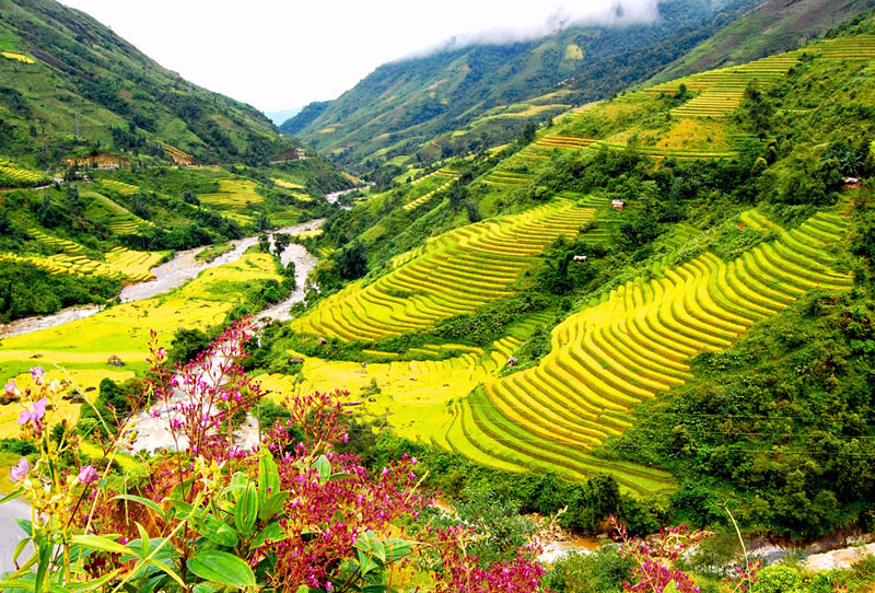 Sapa Local Markets 3 Days 4 Nights