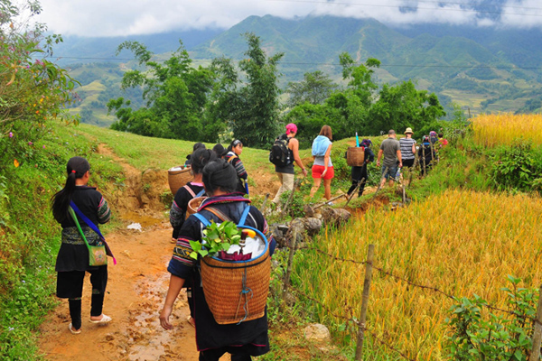 Sapa Trekking 3 Days 4 Nights
