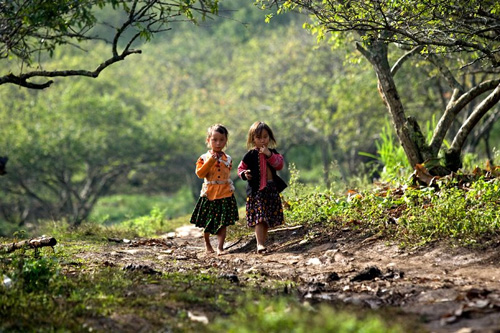 Sapa Explorer 5 Days 6 Nights