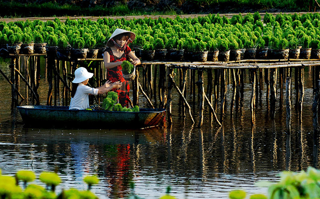 South Vietnam Overview 4 Days