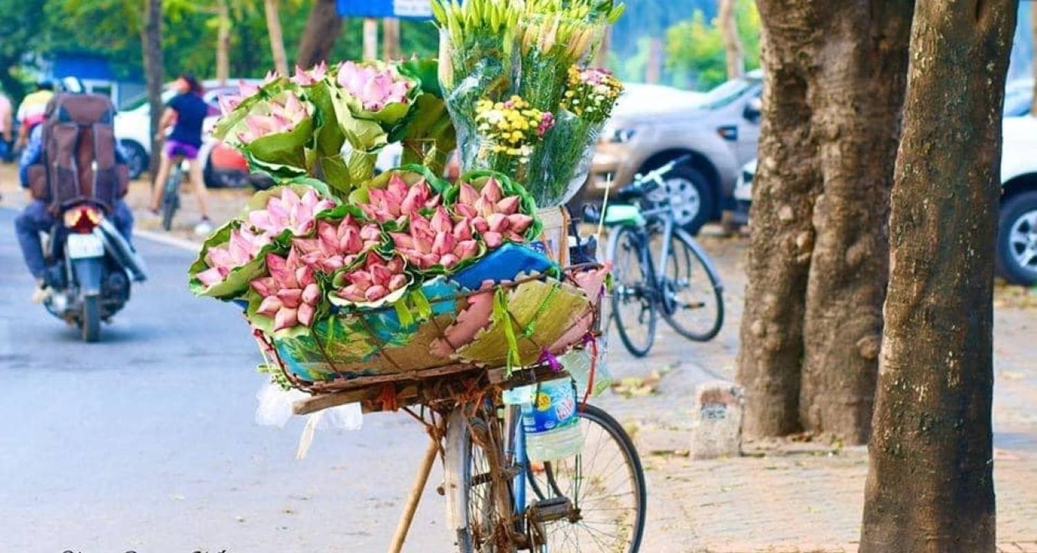 4 Day in Hanoi – Ninh Binh – Halong – Full Activities
